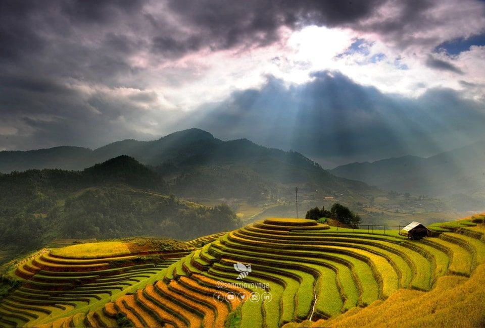 Rizières en terrasses à Hoang Su Phi